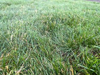 Similar image 21526136