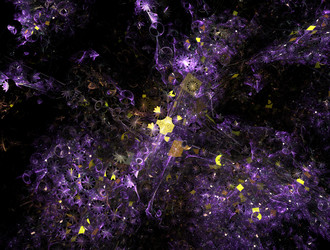 Similar image 21529999