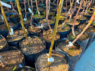 Similar image 21525913