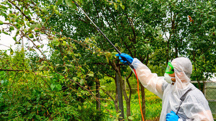 Similar image 21525914