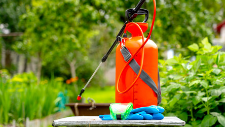 Similar image 21525915