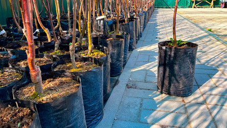 Similar image 21525917