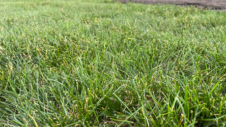 Similar image 21525918