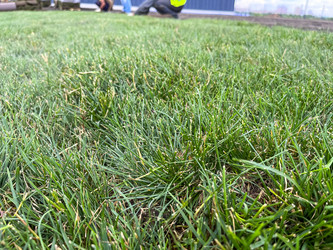 Similar image 21525920