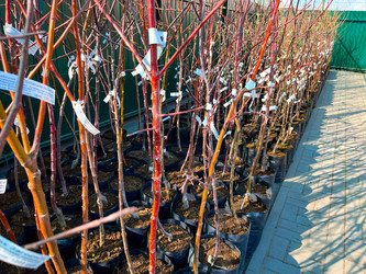 Similar image 21525923