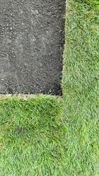 Similar image 21525924