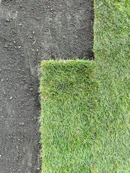 Similar image 21525926