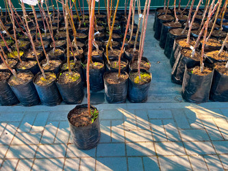 Similar image 21525927