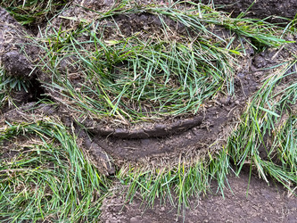 Similar image 21525928