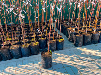 Similar image 21525929