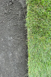 Similar image 21525930