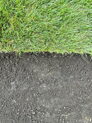 Similar image 21525932