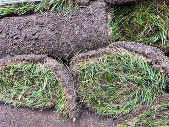 Similar image 21525934