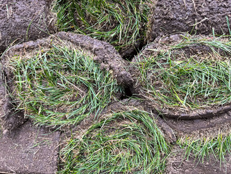 Similar image 21525936