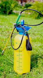 Similar image 21525939