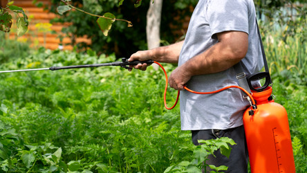 Similar image 21525940