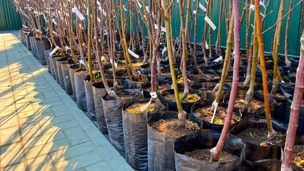 Similar image 21525941