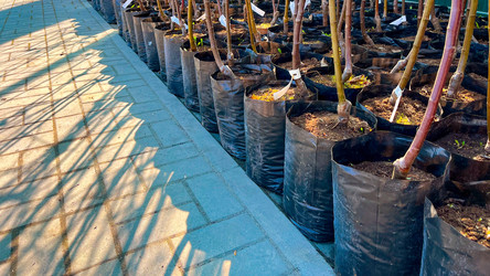 Similar image 21525943