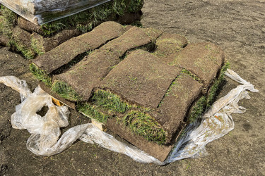 Similar image 21525944