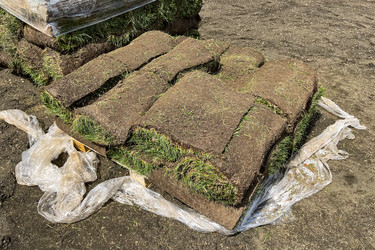 Similar image 21525946