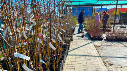 Similar image 21525947