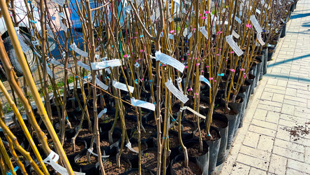 Similar image 21525949