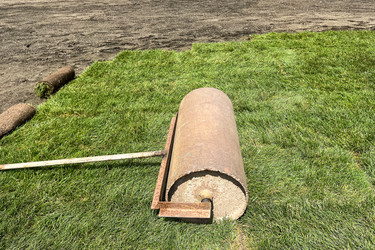 Similar image 21525950