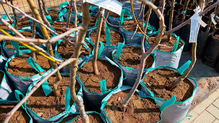 Similar image 21525952