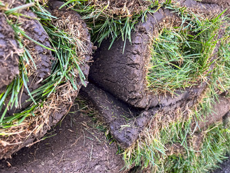 Similar image 21525953