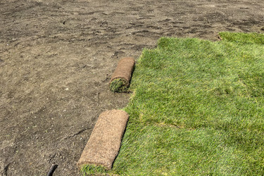 Similar image 21525955