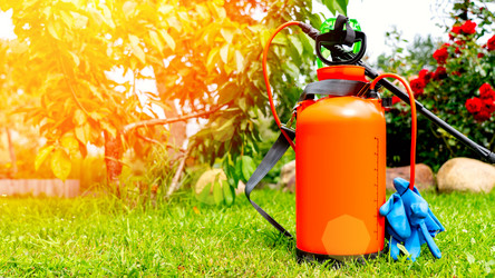 Similar image 21525956