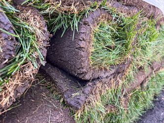 Similar image 21525957