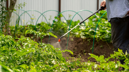 Similar image 21525958