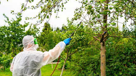 Similar image 21525959