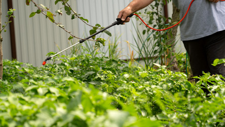 Similar image 21525961