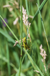 Similar image 21524249