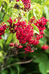 Similar image 21524250