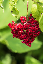 Similar image 21524251