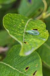 Similar image 21524738