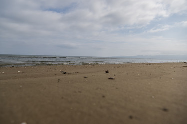 Similar image 21524919