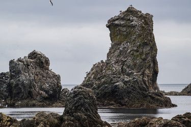 Similar image 21525065