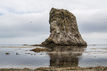 Similar image 21525070