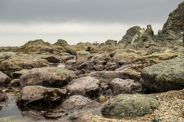 Similar image 21524742