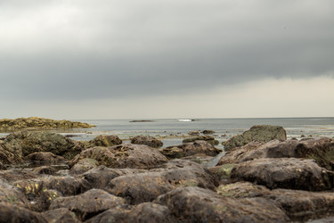 Similar image 21524743