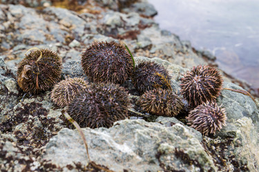 Similar image 21524746