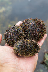 Similar image 21524747