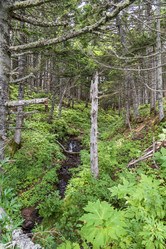 Similar image 21524925