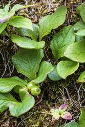 Similar image 21524929