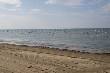 Similar image 21524930