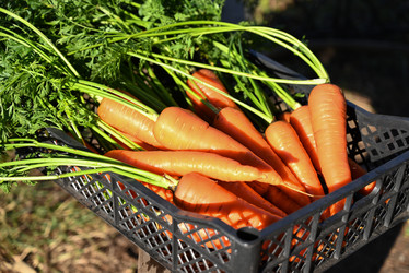 Similar image 21524269